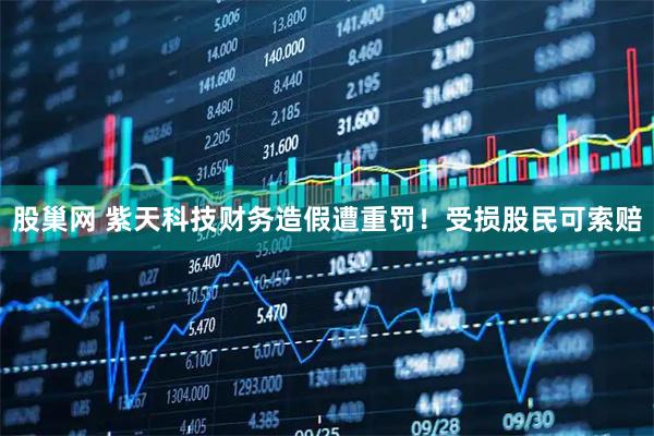 股巢网 紫天科技财务造假遭重罚！受损股民可索赔