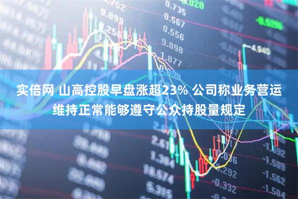 实倍网 山高控股早盘涨超23% 公司称业务营运维持正常能够遵守公众持股量规定