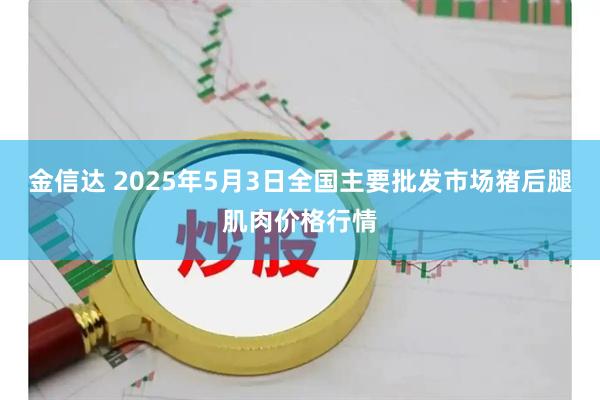 金信达 2025年5月3日全国主要批发市场猪后腿肌肉价格行情
