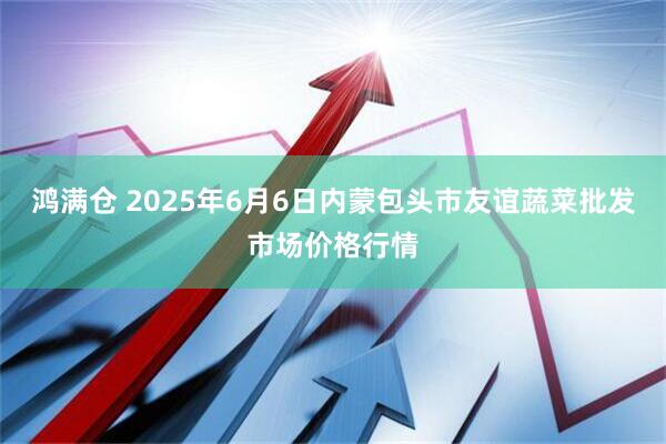 鸿满仓 2025年6月6日内蒙包头市友谊蔬菜批发市场价格行情