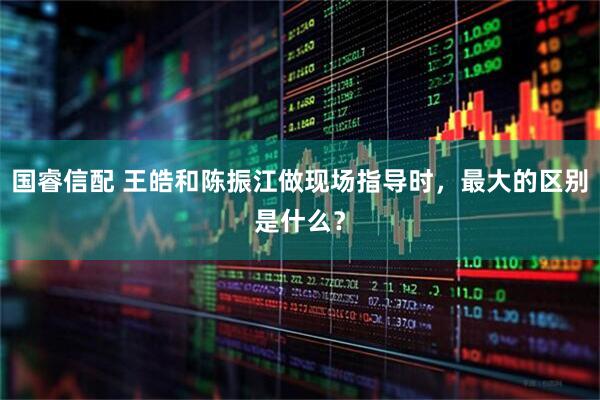 国睿信配 王皓和陈振江做现场指导时，最大的区别是什么？