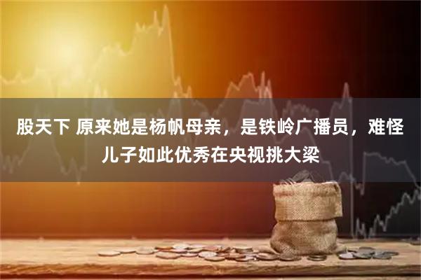 股天下 原来她是杨帆母亲，是铁岭广播员，难怪儿子如此优秀在央视挑大梁