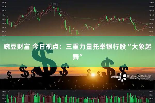 豌豆财富 今日视点:三重力量托举银行股“大象起舞”